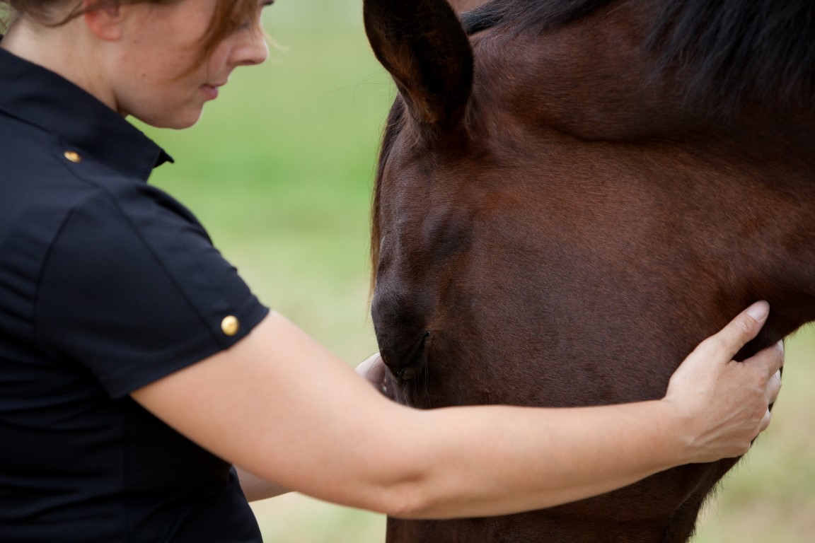 paard met pensioen vertelt